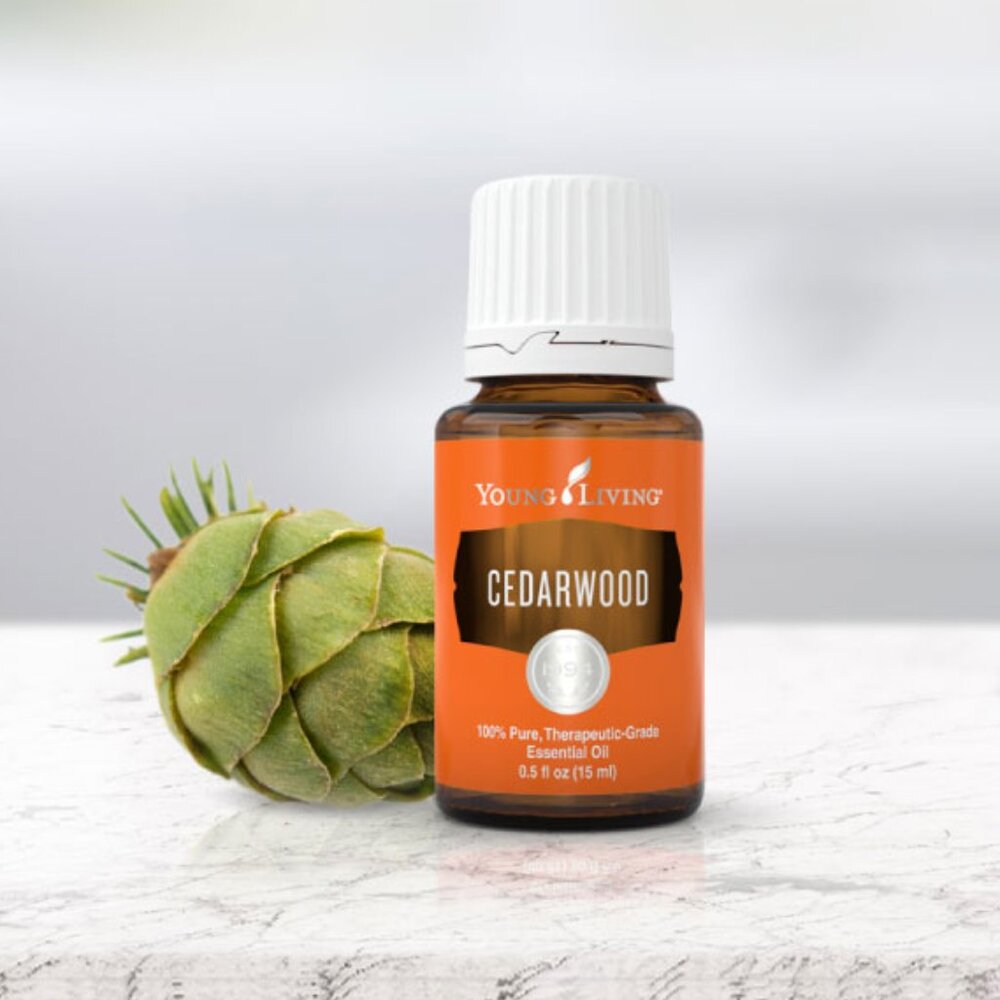 NEW Young Living 15 ml Cedarwood Essential Oil